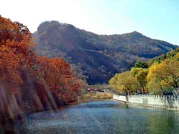 奥门天天开奖免费资料，逃出游客旅馆